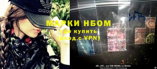 индика Струнино