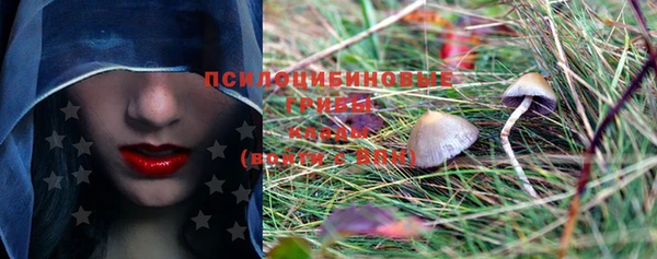 твердый Ступино