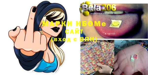 индика Струнино