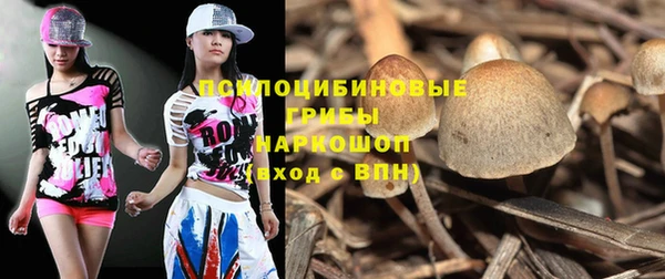 индика Струнино