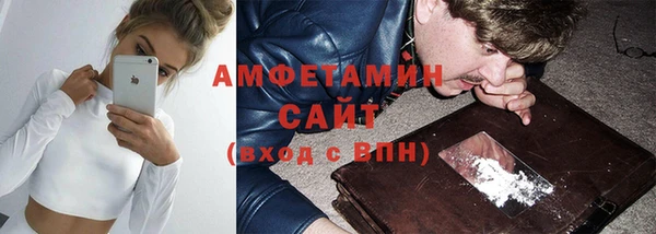 индика Струнино