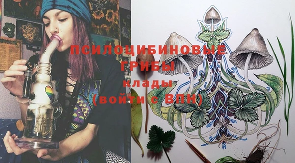 твердый Ступино